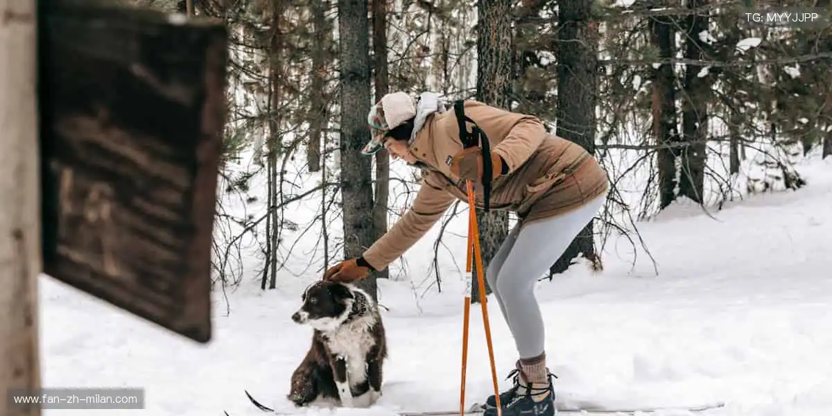 🏅 球星同款，触手可及！收藏限量周边，留住热血记忆🎁